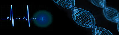 Biomedical Signal Processing [24-25]